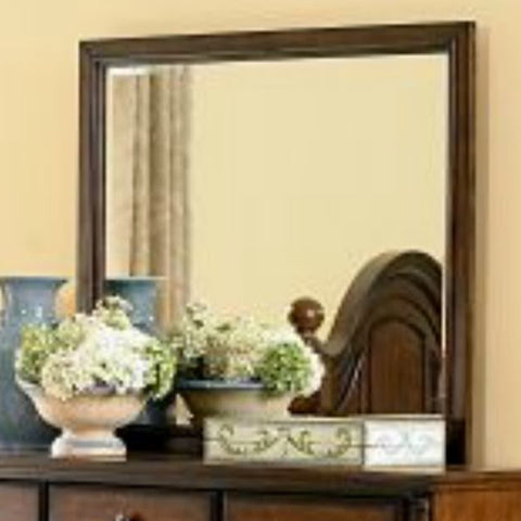 Homelegance Langston Rectangular Mirror in Brown Cherry