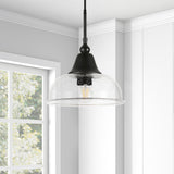 Hudson & Canal Blackened Bronze Finish and Seeded Glass Pendant