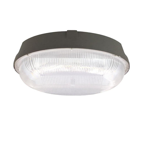 Elegant Lighting Elitco LED Canopy Light Can50Wr12