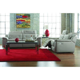 Homelegance Vortex 2 Piece Reclining Living Room Set in Light Grey Leather
