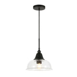 Hudson & Canal Blackened Bronze Finish and Seeded Glass Pendant