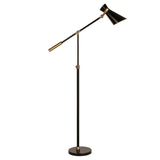 Hudson & Canal Rex Floor Lamp in Black and Brass