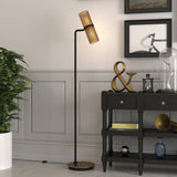 Hudson & Canal Zevon Matte Black and Brass Floor Lamp