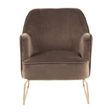 Lumisource Daniella Contemporary Accent Chair in Gold Metal and Espresso Velvet
