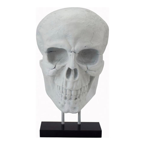 Moes Home Braincase Skull Statue White
