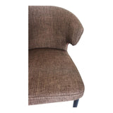 Moes Home Decca Dining Chair in Cappuccino