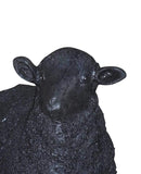 Moes Home Dolly Sheep Statue Black In Black