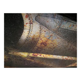 Moes Home Jumbo Jet Wall Decor in Antique