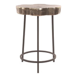 Moes Home Sequoia Accent Table in Nickel