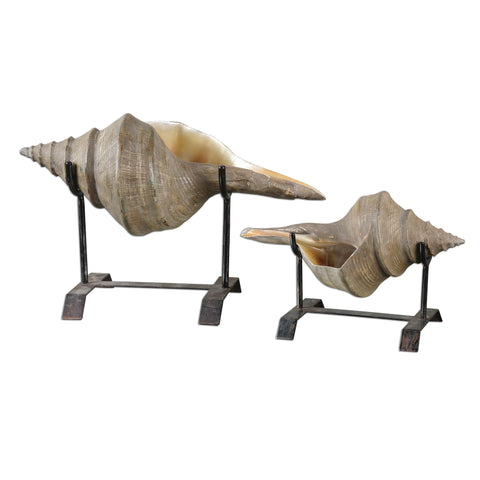 Uttermost Conch Shell Sculpture (Set of 2)