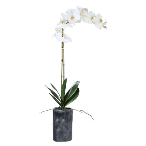 Uttermost Eponine White Orchid