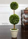 Uttermost Preserved Boxwood Two Sphere Topiar
