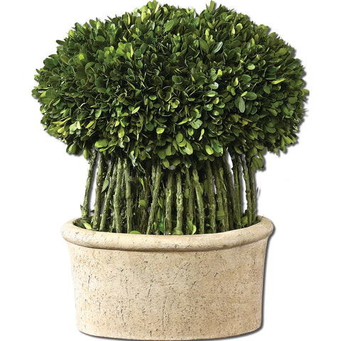 Uttermost Preserved Boxwood Willow Topiary