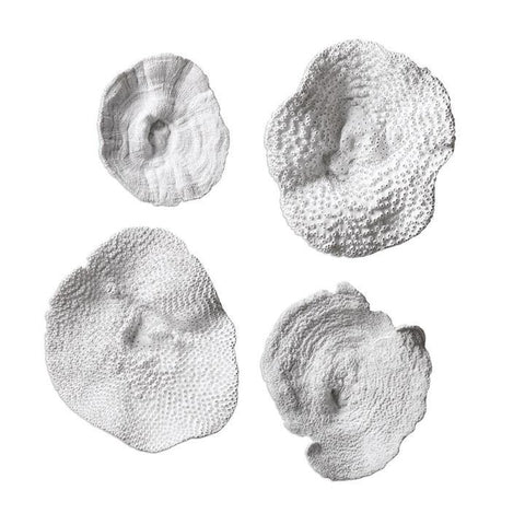 Uttermost Sea Coral Wall Art - Set of 4