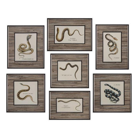 Uttermost Snakes Under Glass Prints - Set of 7