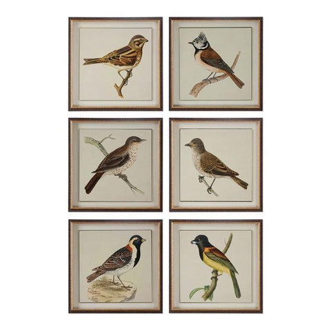 Uttermost Spring Soldiers Bird Prints - Set of 6