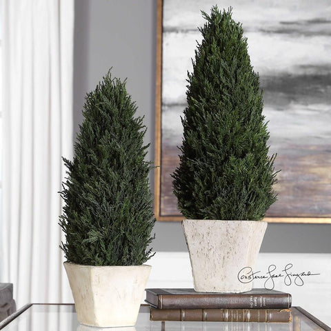 Uttermost Uttermost Cypress Cone Topiaries, Set of 2